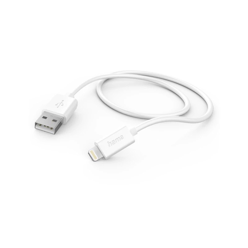 câble USB-A/Lightning 1m