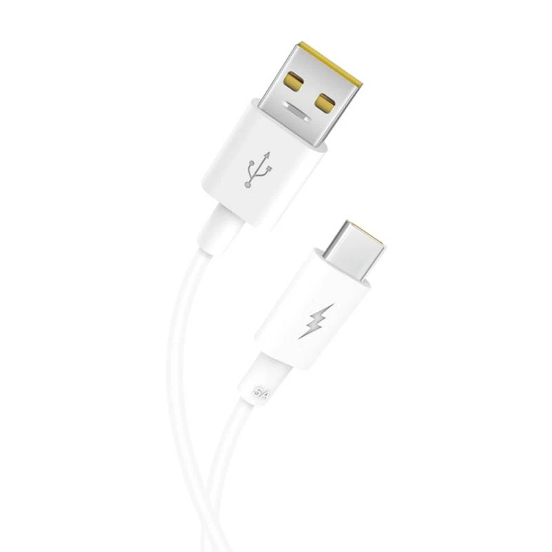 câble USB-C/USB-C 1m